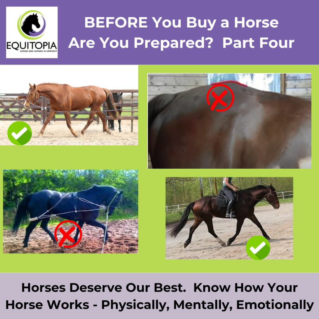 Owner responsibility