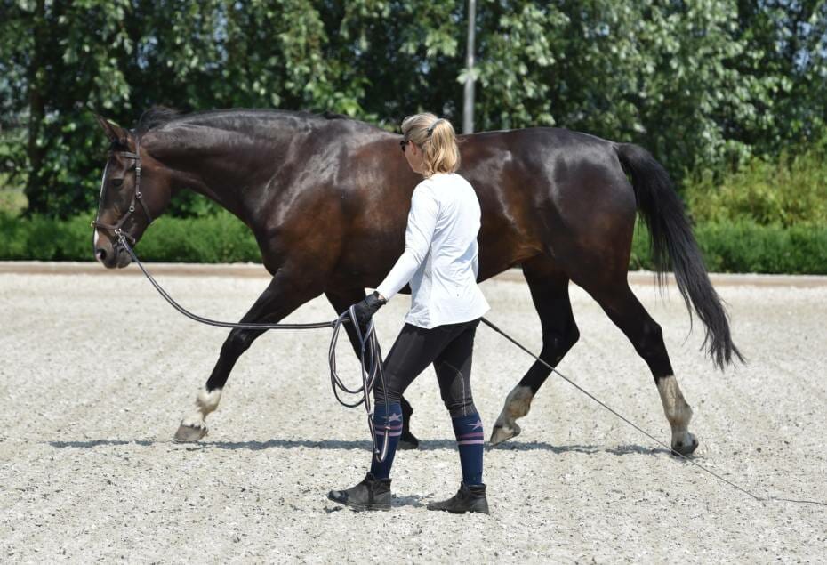 Left to right balance of the horse