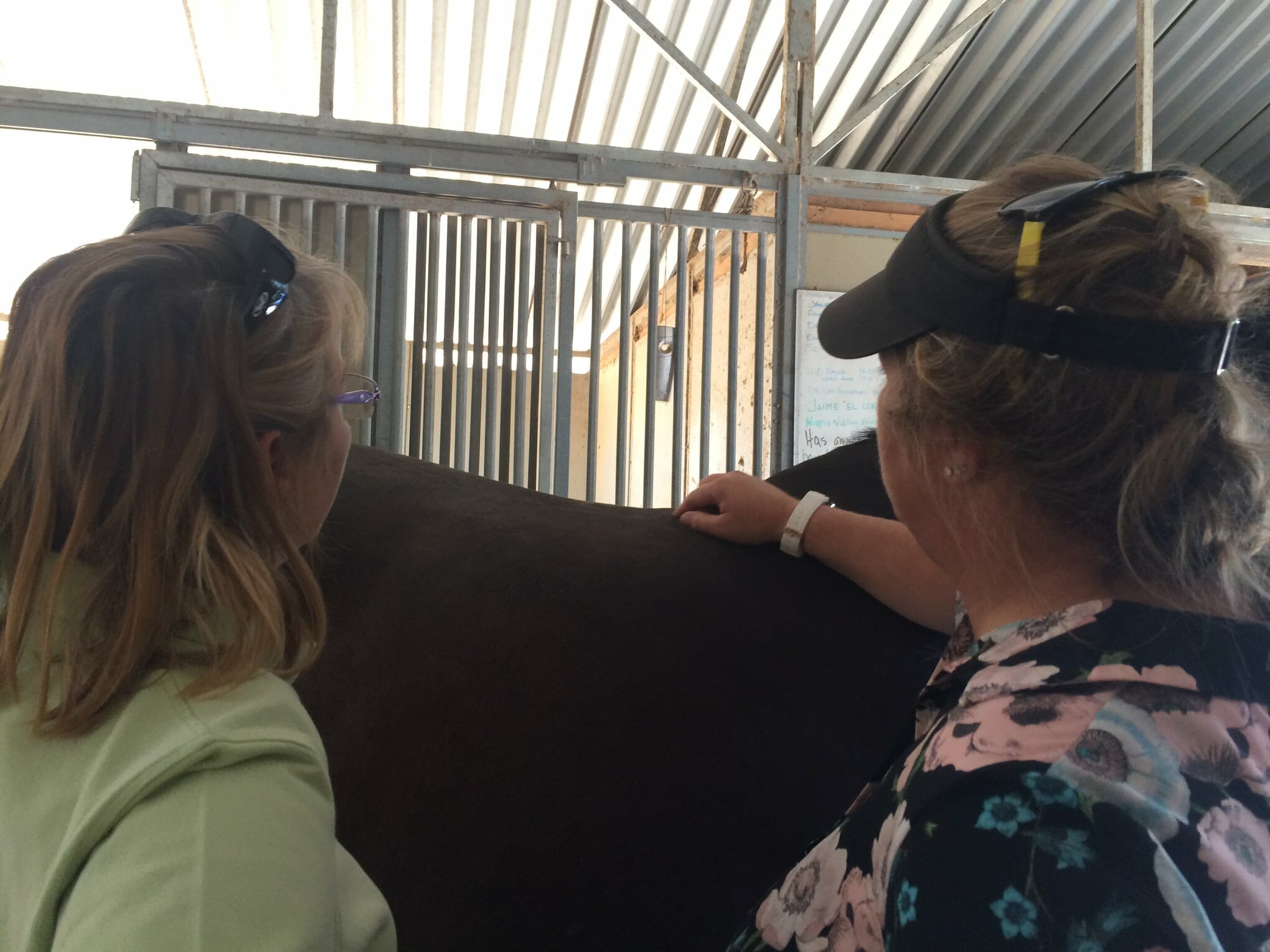 Does your Saddle Fit?