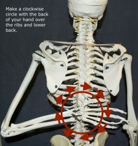 Murdoch Minute to improve your hands and rein contact