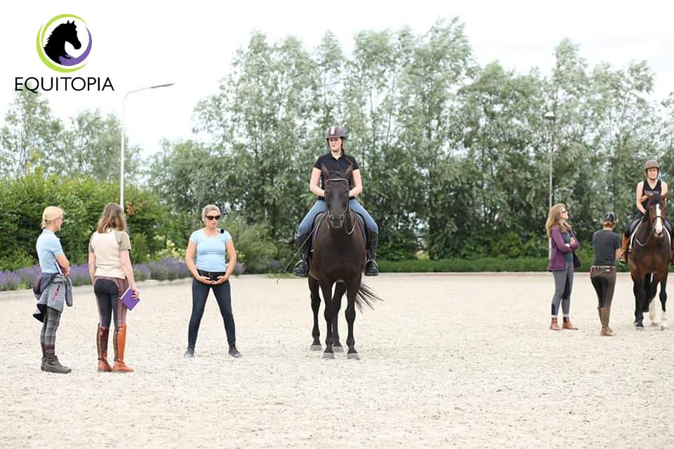 The Evolution of Equestrian Coaching