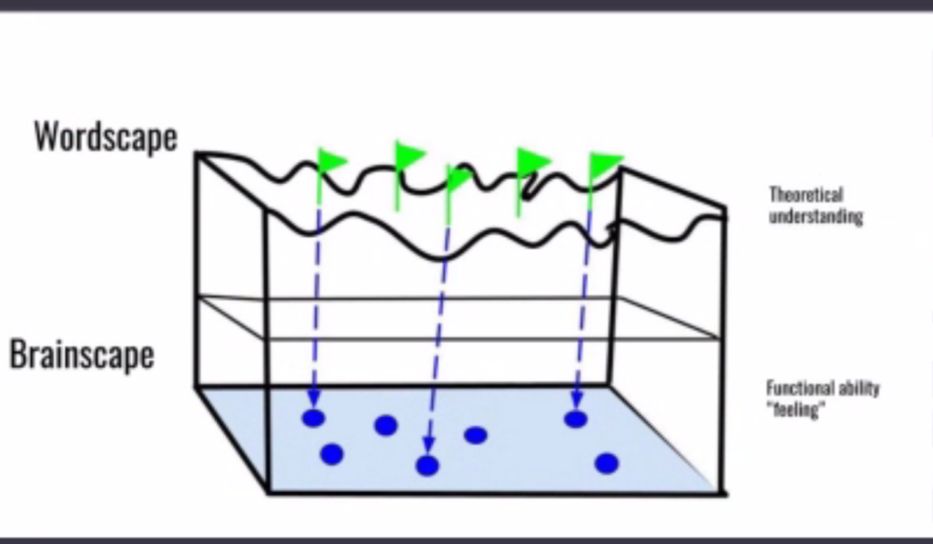 The Evolution of Equestrian Coaching