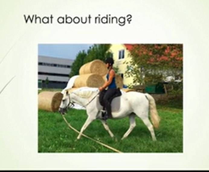 The Evolution of Equestrian Coaching