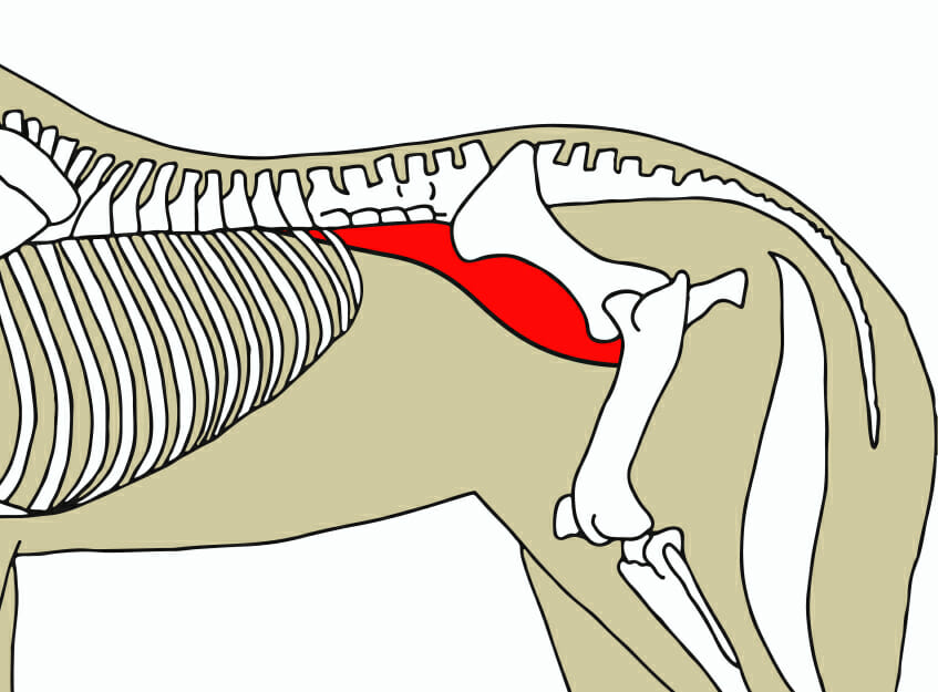 Our core, our stability and our emotions