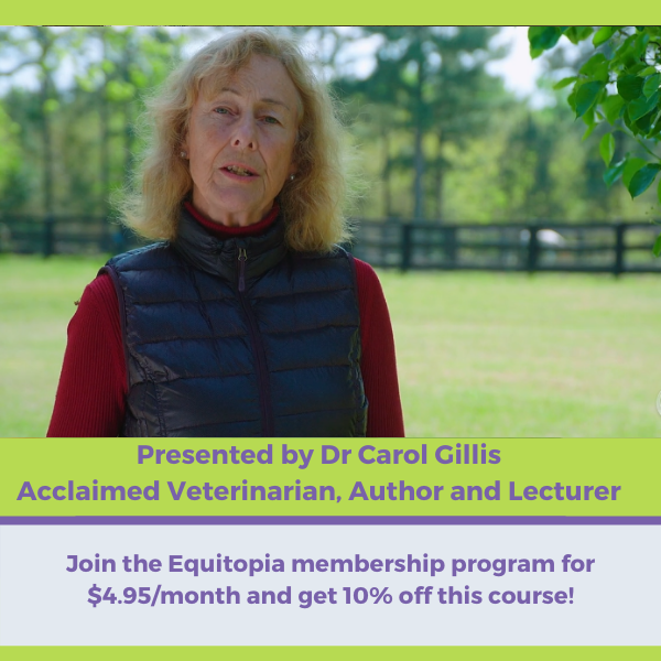 Dr Carol Gillis Course Equitopia