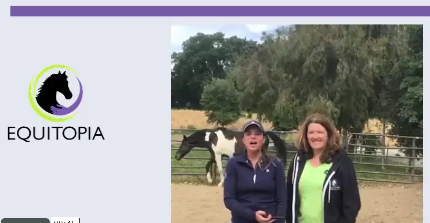 Tips from equitopias bodyworker. Caring for your horse.