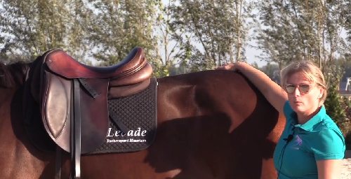 Equine rehabilitation - Sadashiva - adjusting the saddle