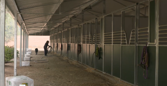Designing living spaces for horses