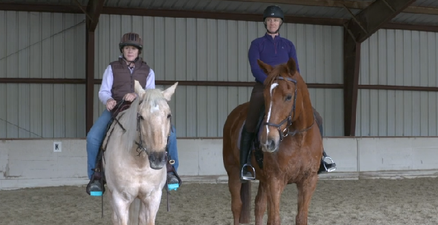 Wendy Murdochs tips for Equitopia Rider Balance and Posture