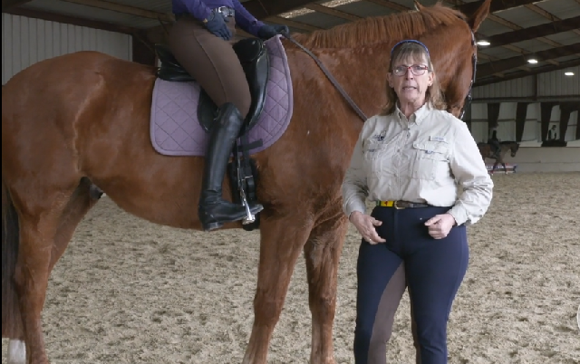 Wendy Murdoch;s tips for Equitopia horseriders
