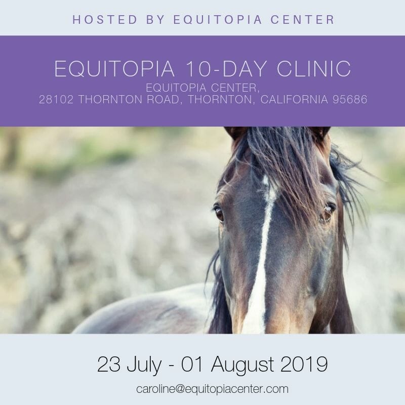 Equitopia clinic Thornton July 2019