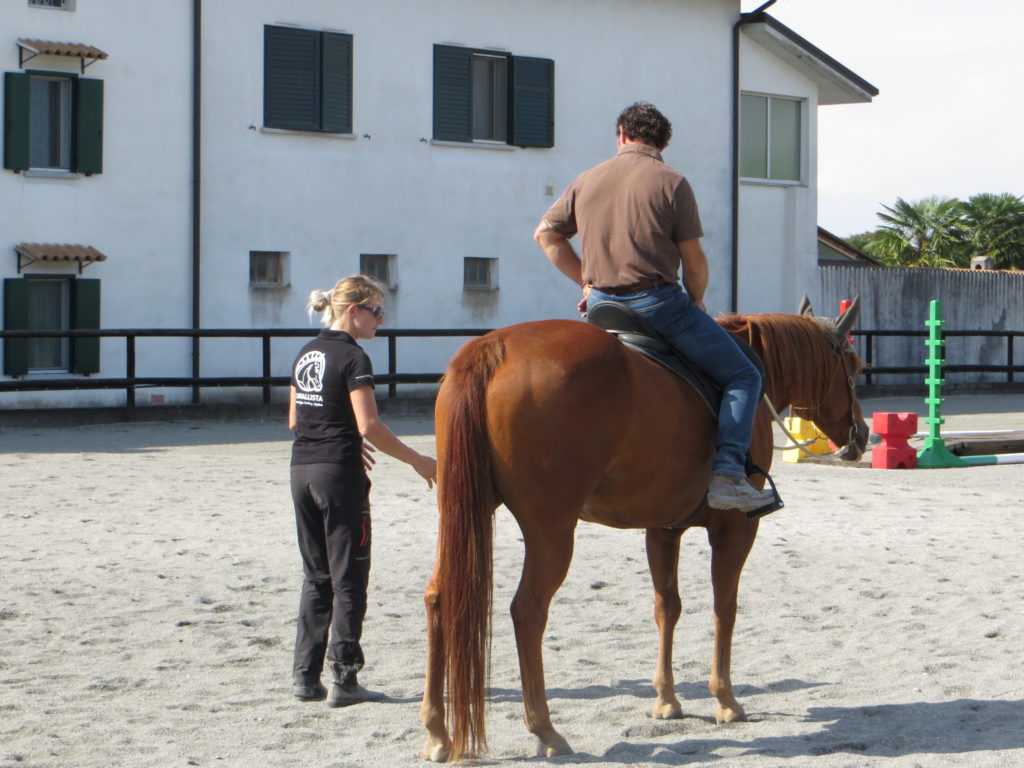 Correct Posture of the Horse Rider’s Upper Body - Part 1 