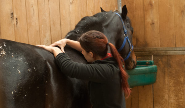 How Fascia Impacts your Horse's Movement