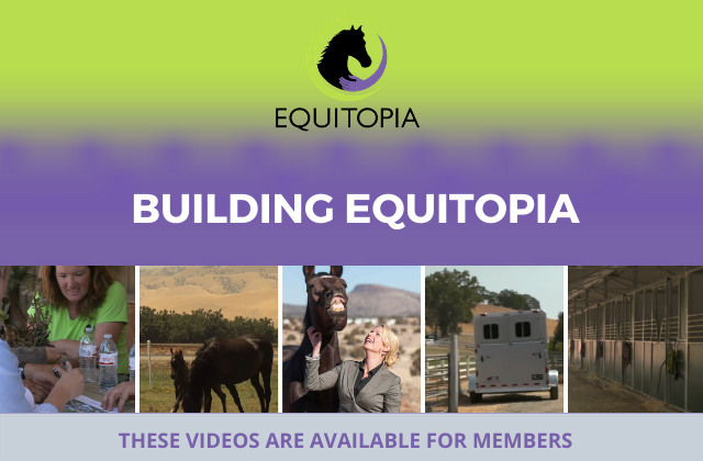 Building Equitopia members videos