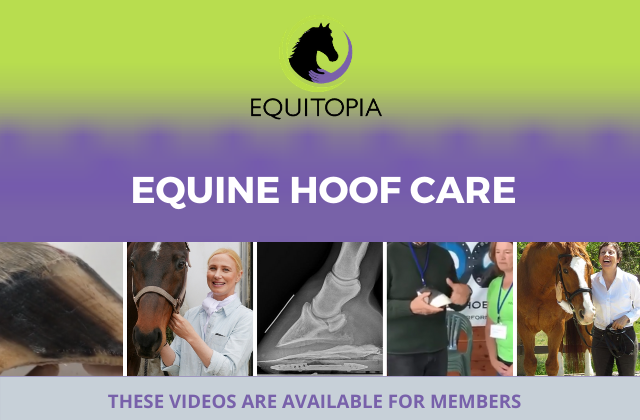 Equine hoof care videos equitopia