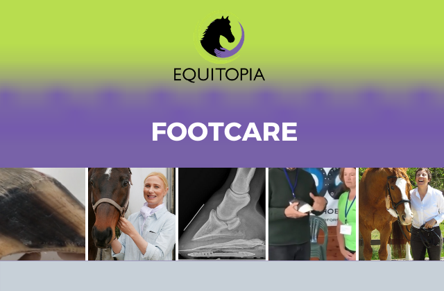 footcare equitopia videos