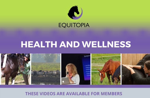 health and wellness videos equitopia
