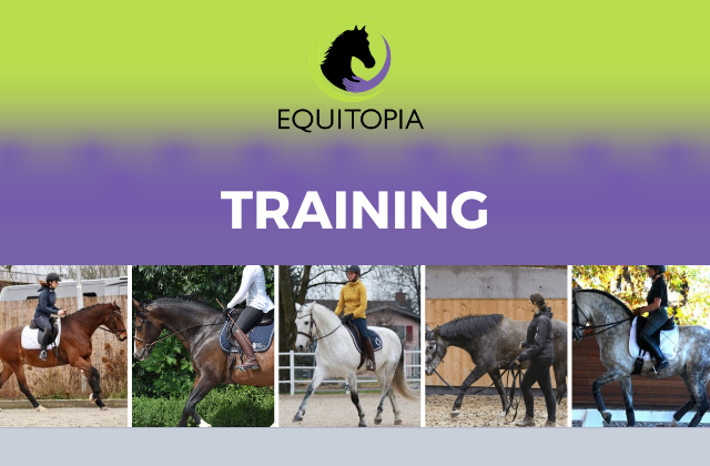 Training videos equitopia