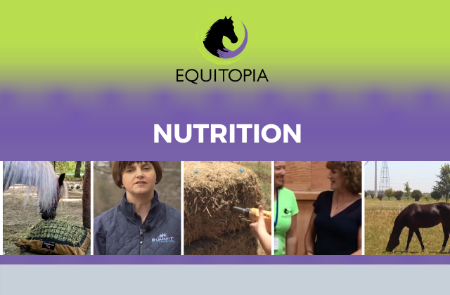 Nutrition videos equitopia
