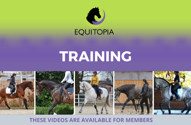 Training videos members equitopia