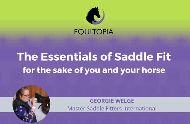 The essentials of saddle fit equitopia webinar