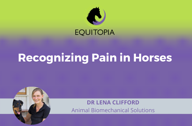 Recognizing pain in horses webinar equitopia