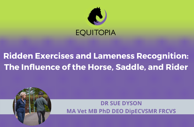 Ridden Exercises and Lameness Recognition Sue Dyson Webinar Equitopia