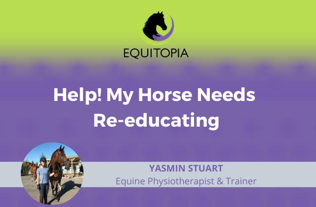 Help! My horse needs reeducating equitopia webinar