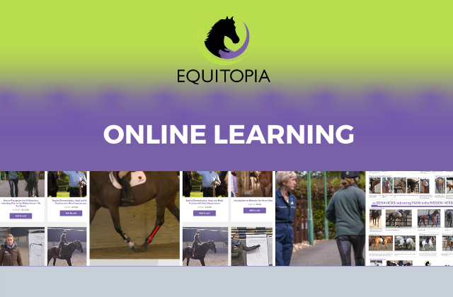 online learning for equestrians equitopia