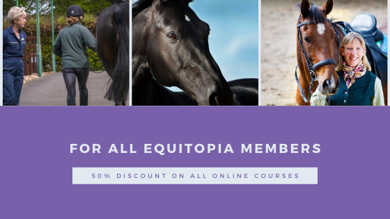 corona virus discounts for horse lovers online courses equtiopia