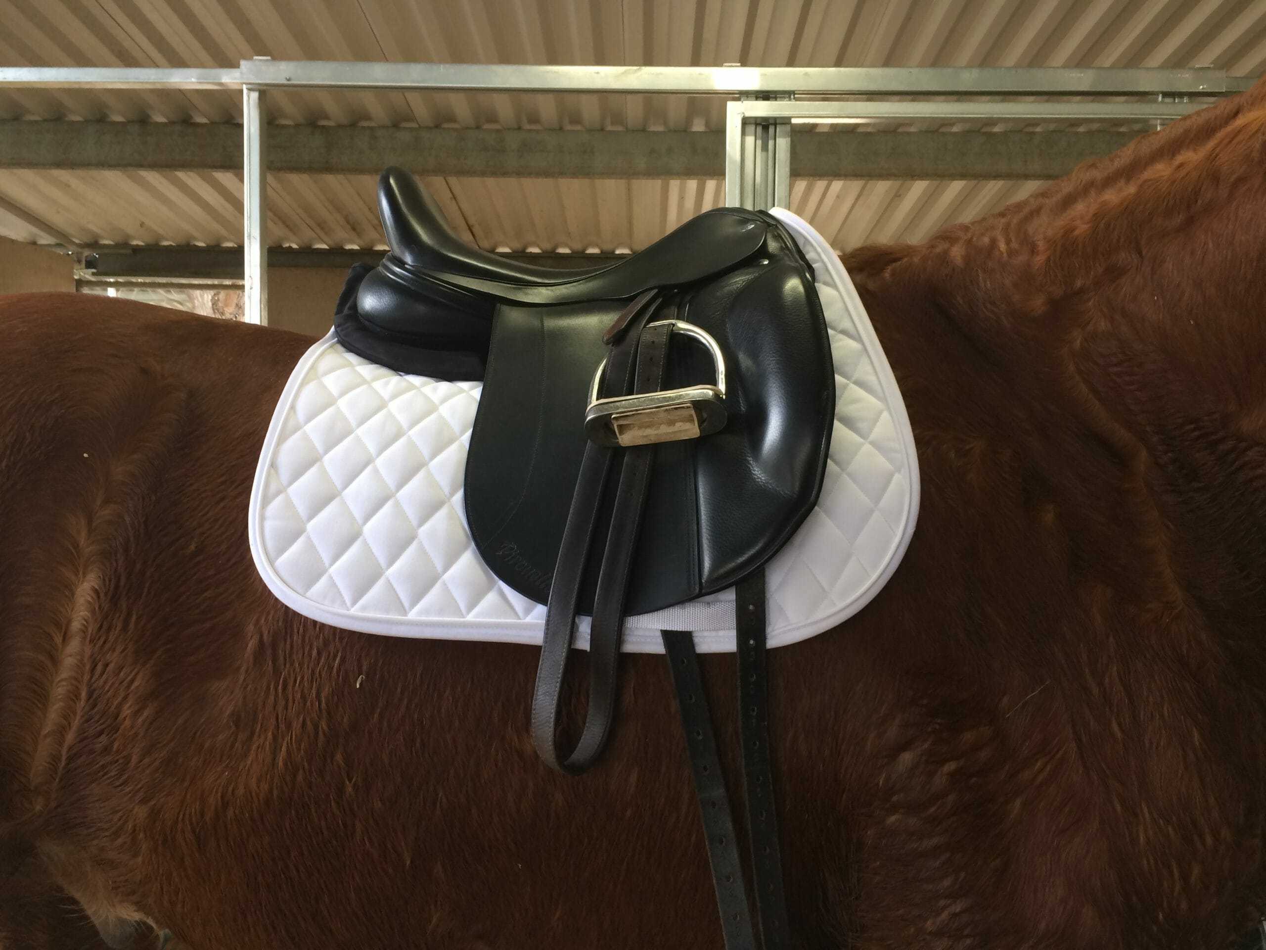 Saddle Advice for You and your Horse - Part 1