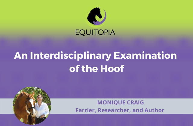 Equitopia webinar monique craig interdisciplinary examination of the hoof