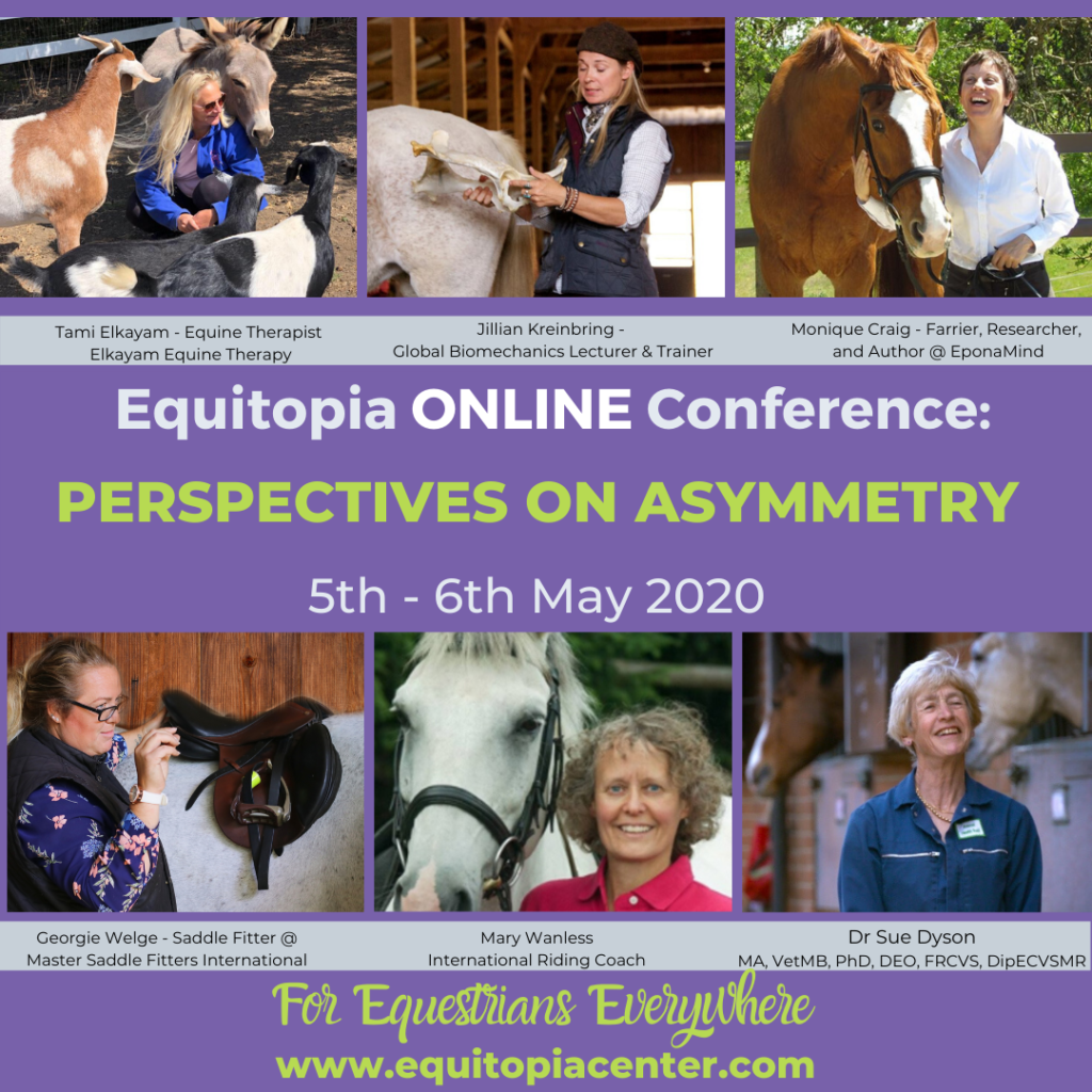 online conference asymmetry equitopia