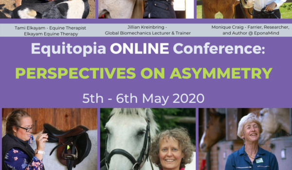 online conference asymmetry equitopia