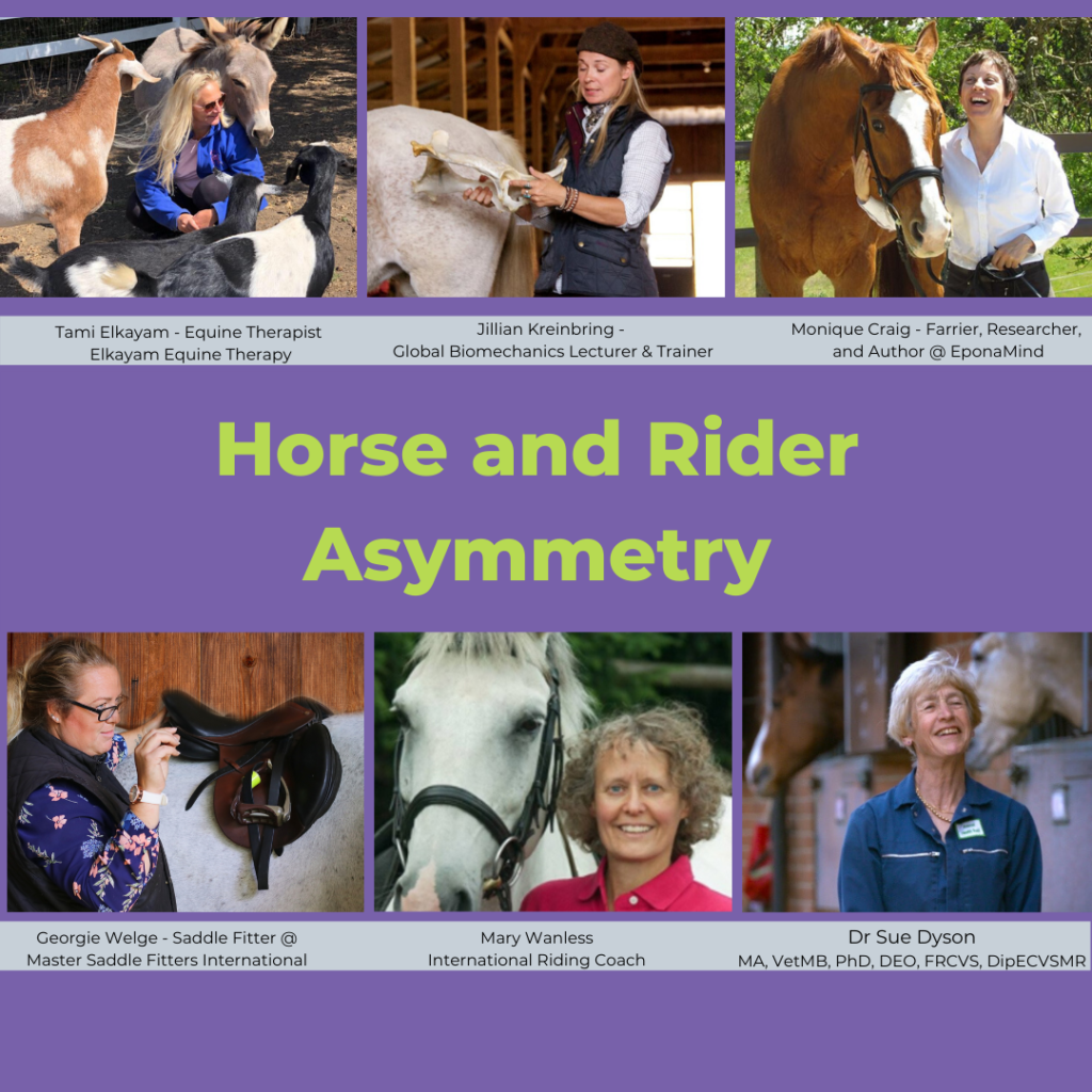 horse and rider asymmetry online course EQUITOPIA