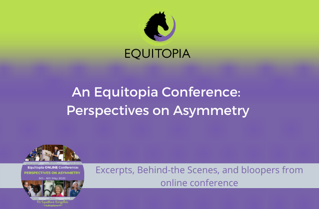 Webinar 11: An Equitopia Conference: Perspective on Asymmetry