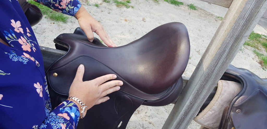 FIT RIGHT SADDLE SOLUTIONS - Equine Anatomy Relative to 