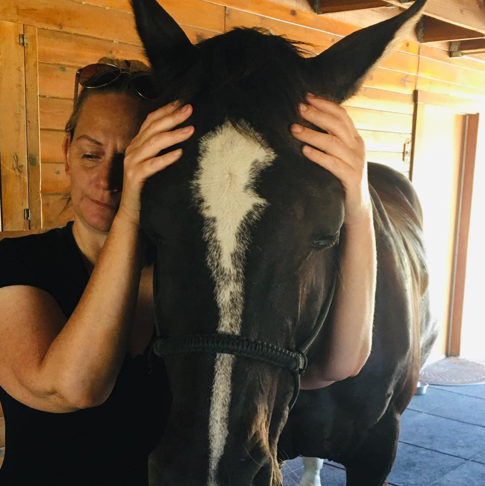 Unclenching the Jaw - a look at the Horse's TMJ Equitopia