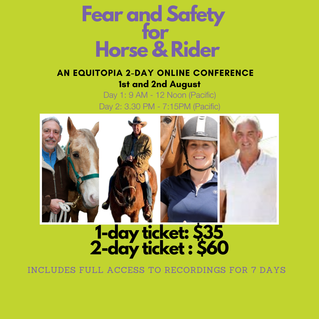 Equitopia conference Fear and Safety
