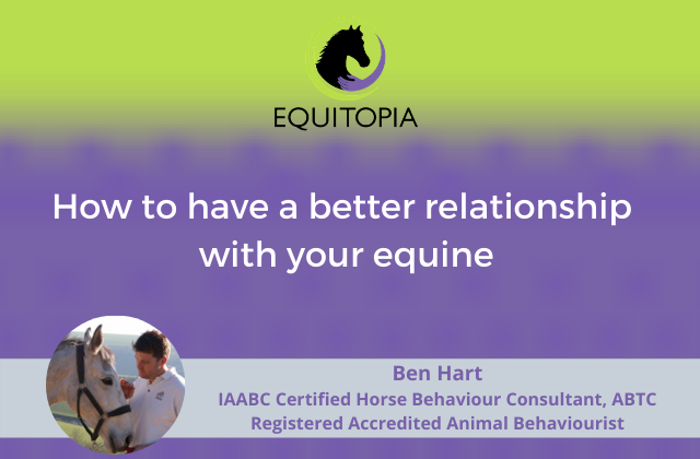 Webinar 14: How to have a better relationship with your equine