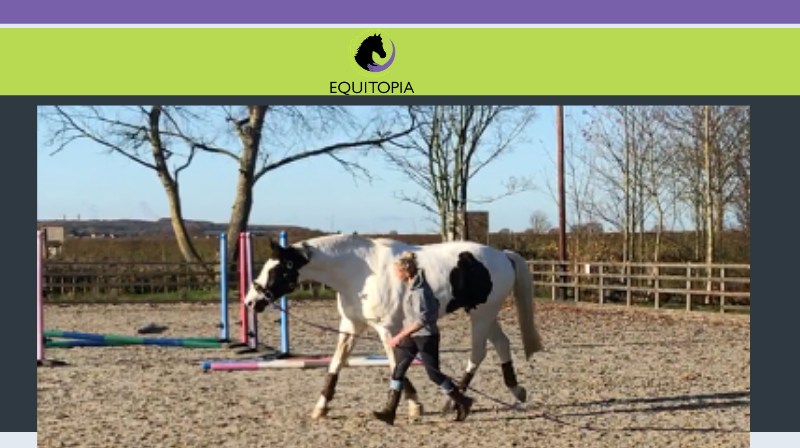how to lunge your horse