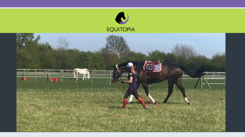 Lunging for Relaxation, Balance and Suppleness