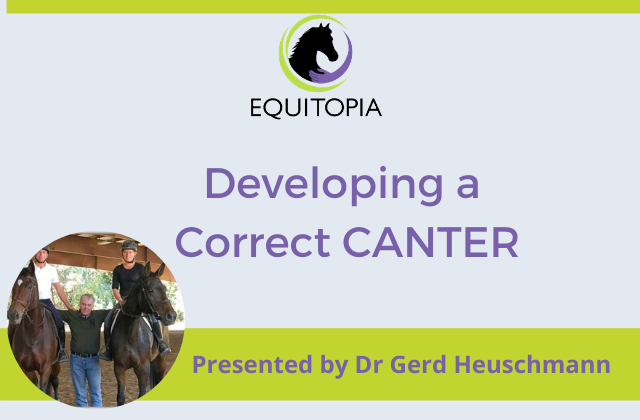 Developing a correct canter