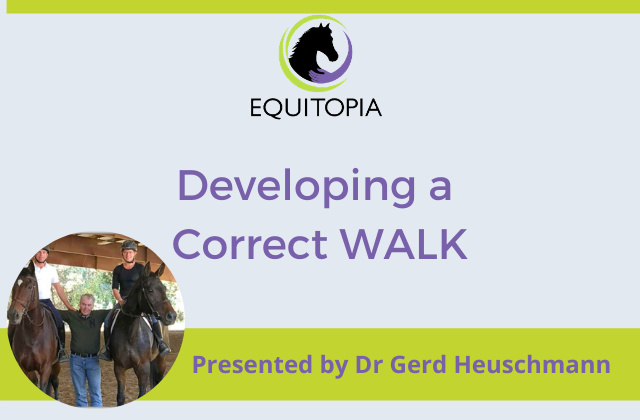 Developing a correct walk