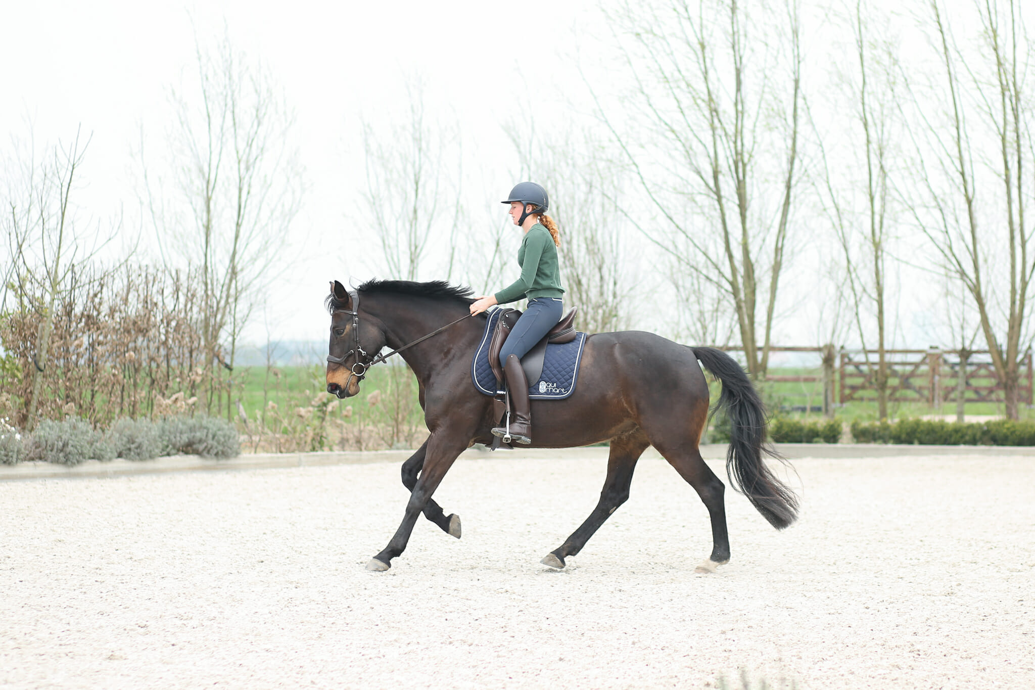 What Equestrians need to know about the Psoas Muscle