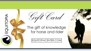 Gifts for the Equestrian in your Life