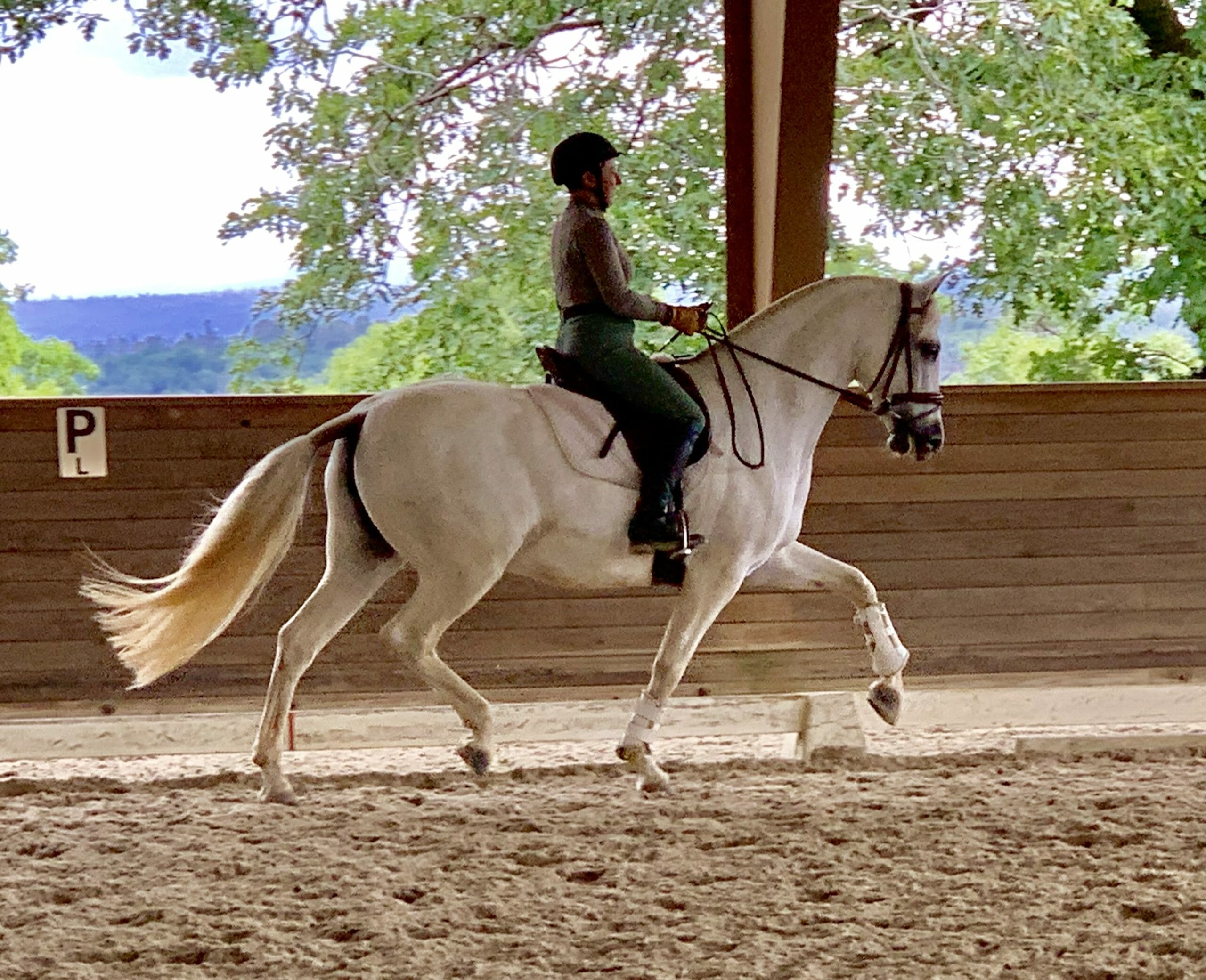 The Elegant Rider, Neutral Spine, Hip Flexors, horse riding tips