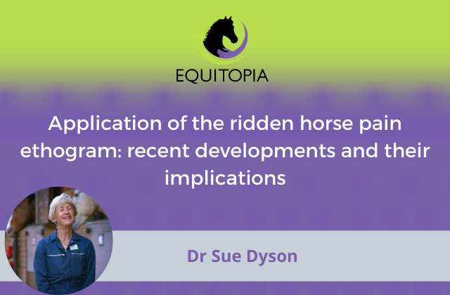 Application of the ridden horse pain ethogram