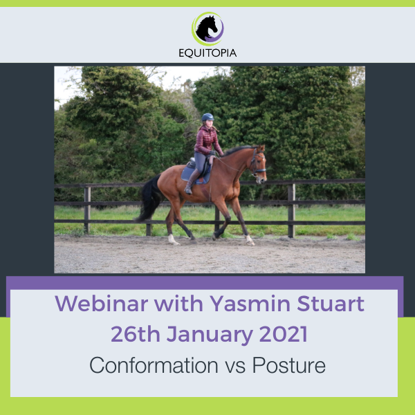 webinar: Conformation vs Posture