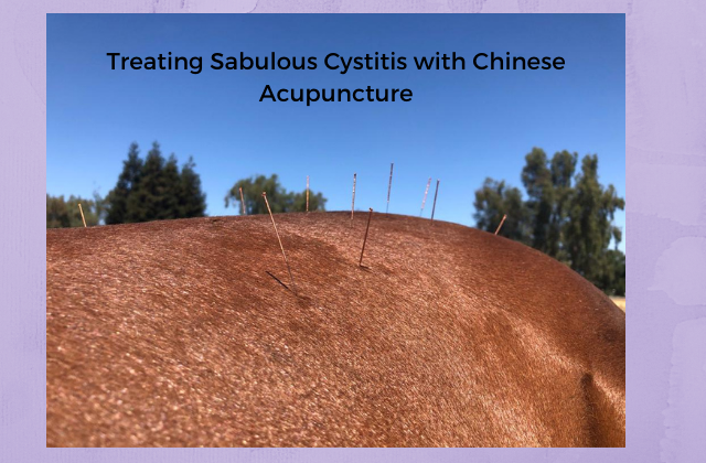 Behind the Scenes: Treating Sabulous Cystitis with Chinese Acupuncture
